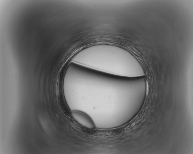X0000116880291200912220950