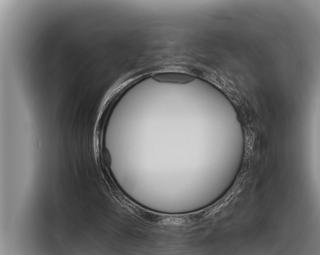 X0000116880294200912220950