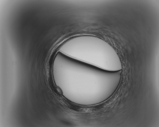 X0000116880295200912220950