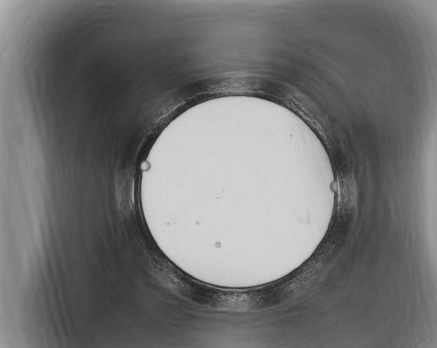 X0000116880301200912220950