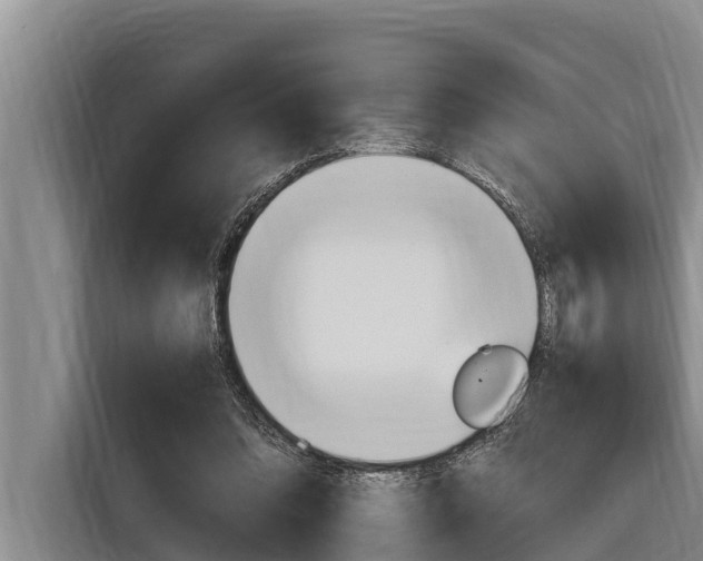 X0000116880302200912220950