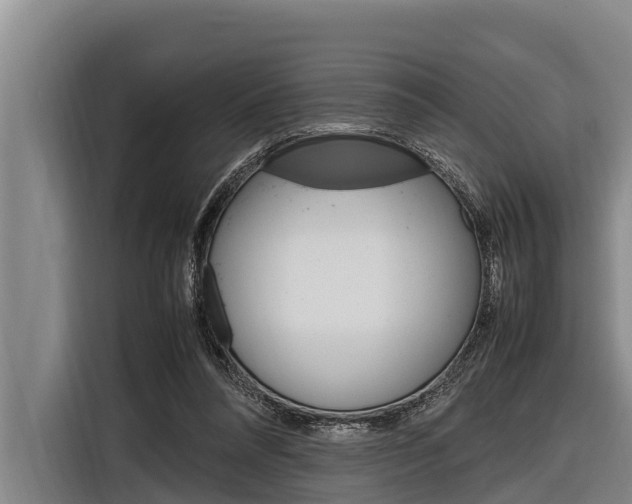 X0000116880304200912220950