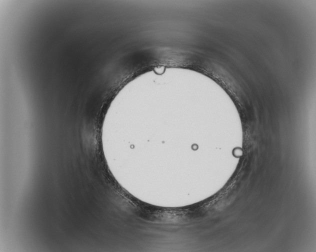 X0000116880305200912220950