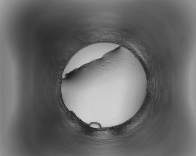 X0000116880307200912220950