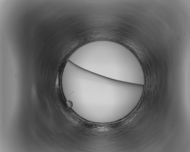 X0000116880310200912220950