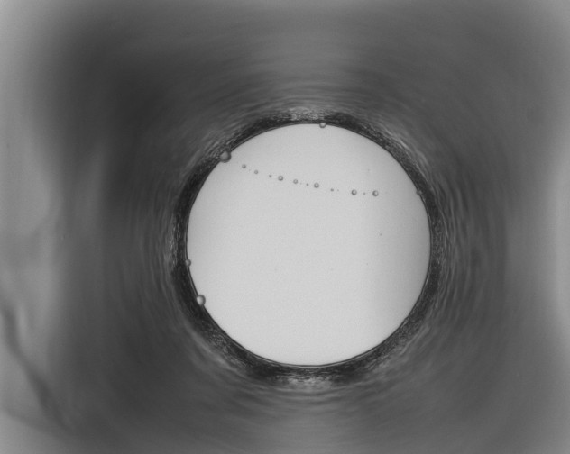 X0000116880311200912220950