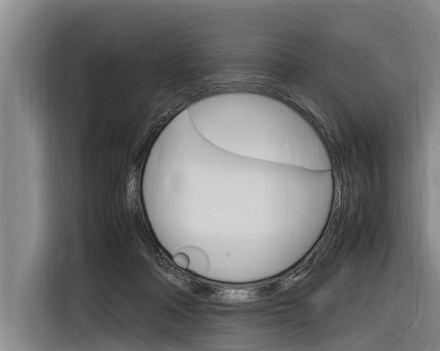 X0000116880314200912220949