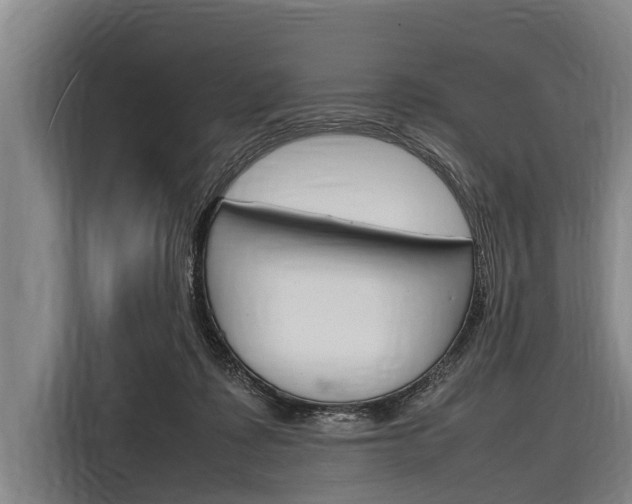 X0000116880315200912220949