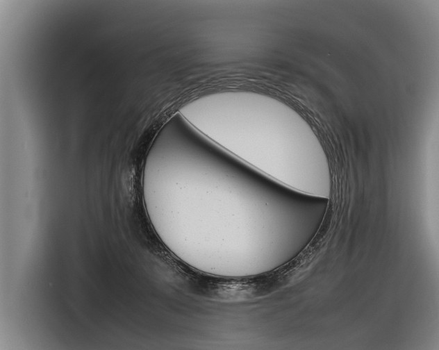 X0000116880319200912220949