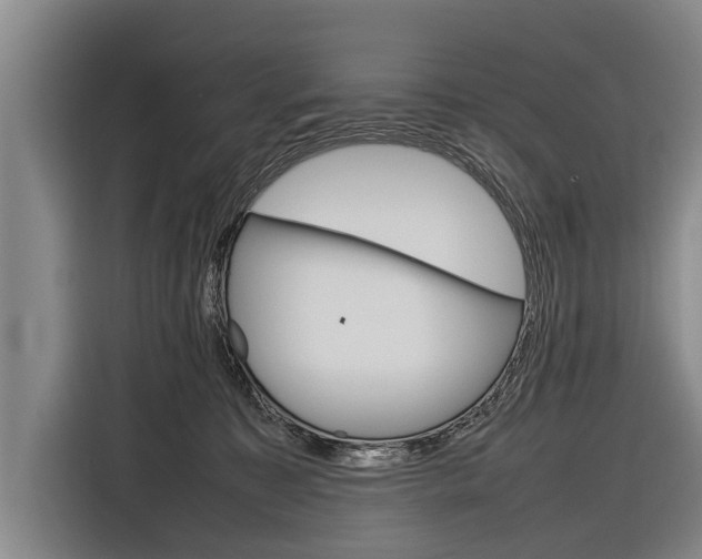 X0000116880323200912220949