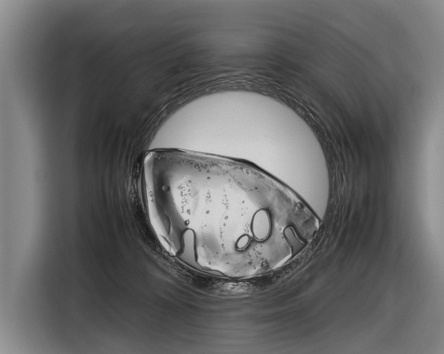 X0000116880324200912220949