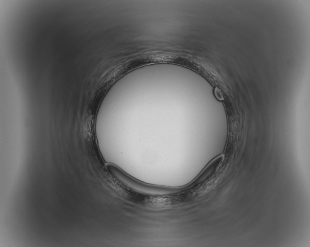 X0000116880325200912220949