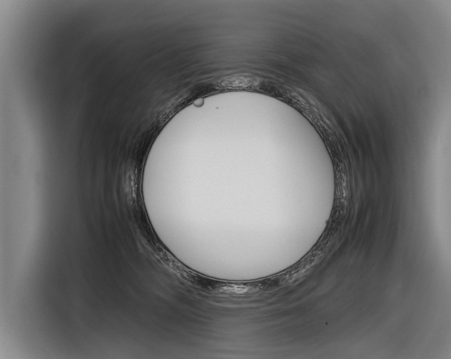 X0000116880326200912220949