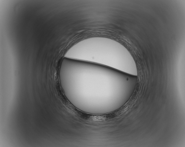 X0000116880327200912220949