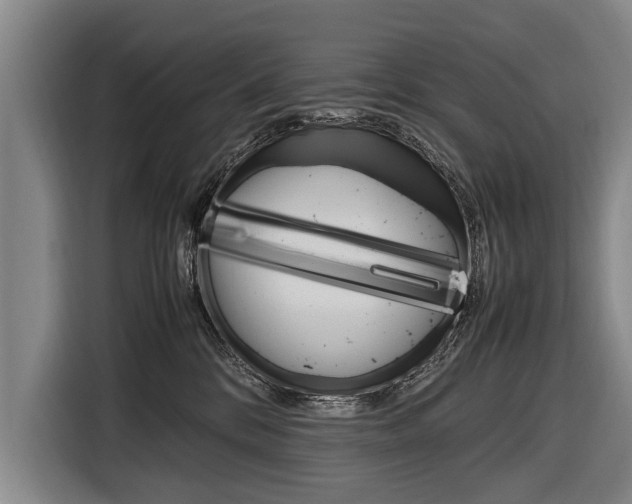 X0000116880328200912220949