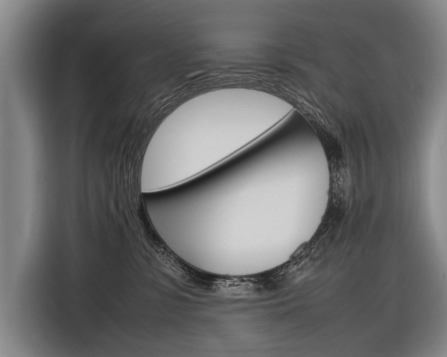 X0000116880331200912220949