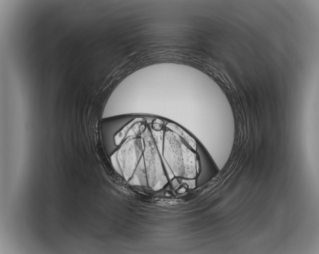 X0000116880332200912220949