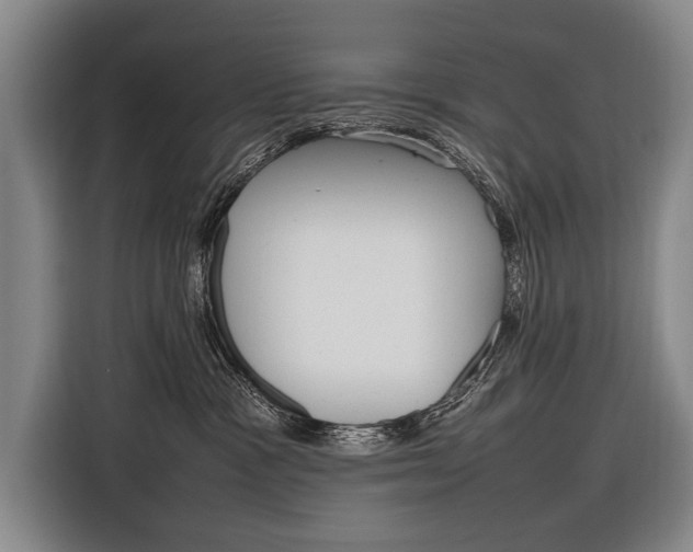 X0000116880333200912220949