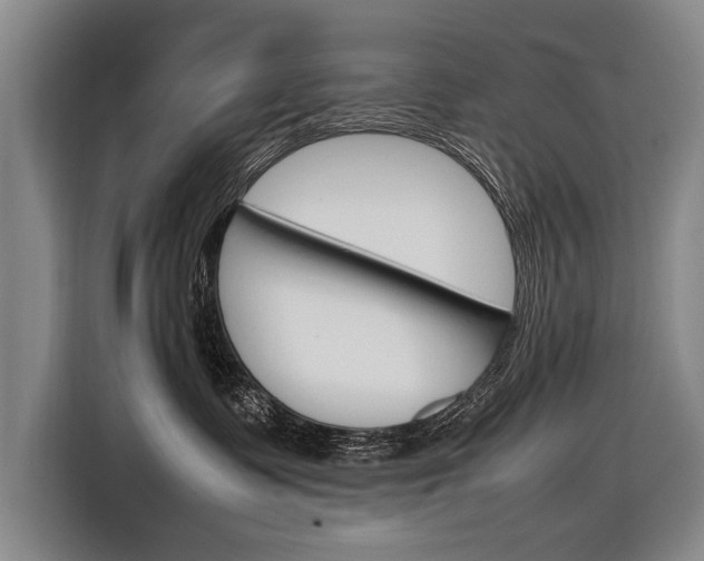 X0000116880335200912220949