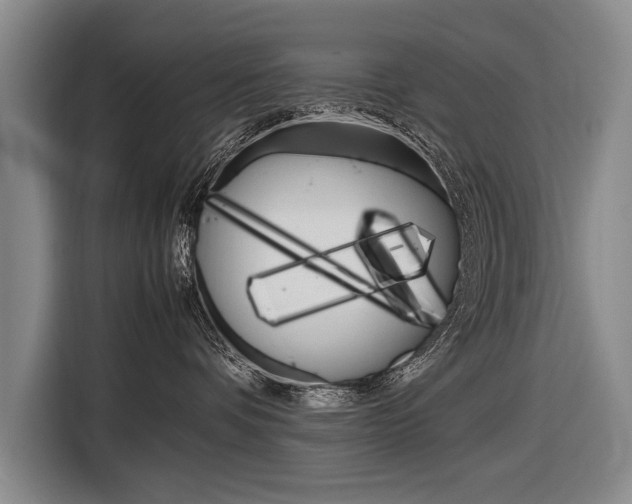 X0000116880336200912220949