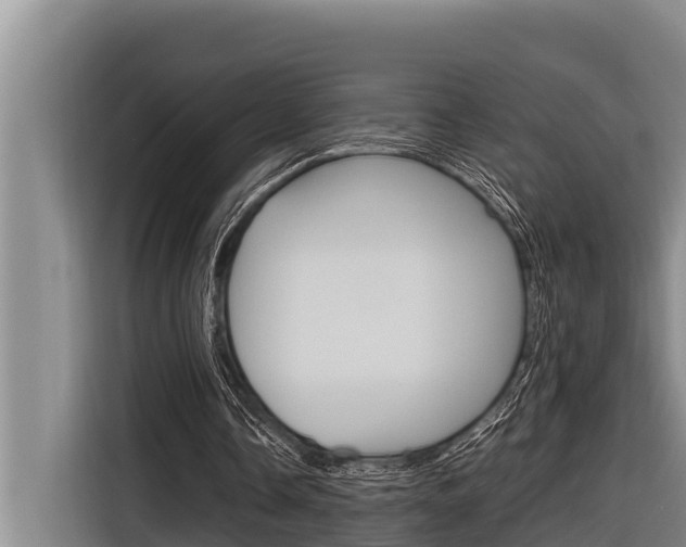 X0000116880338200912220949