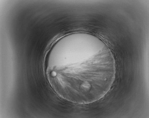 X0000116880339200912220949