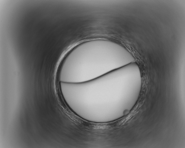 X0000116880342200912220949