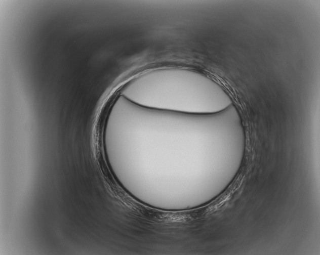 X0000116880343200912220949