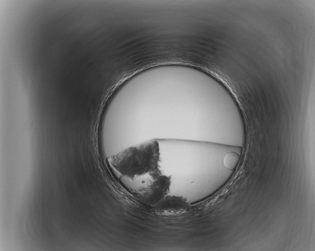 X0000116880345200912220949