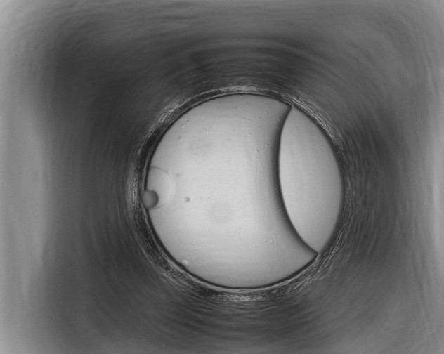 X0000116880347200912220949