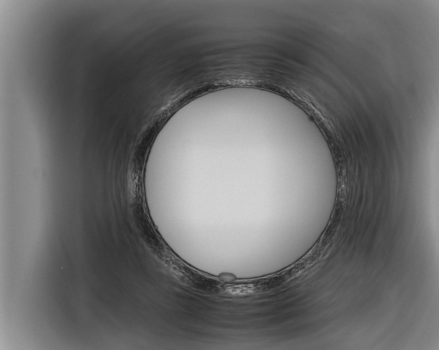 X0000116880355200912220949