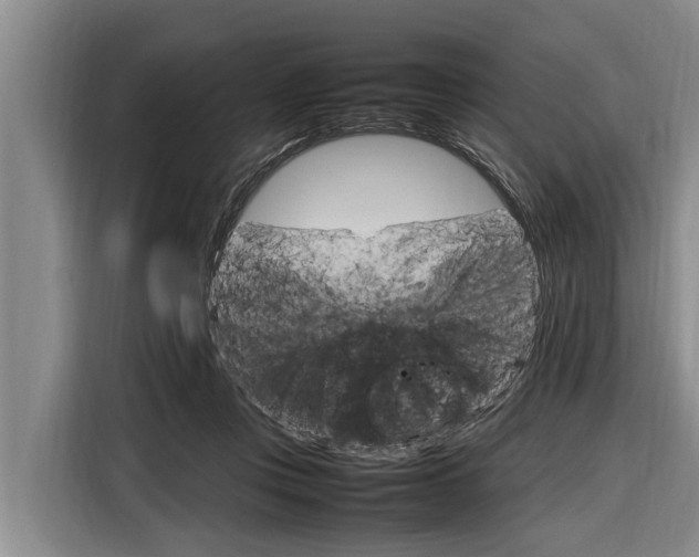 X0000116880359200912220949