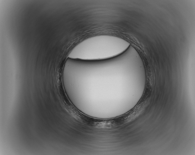 X0000116880366200912220949