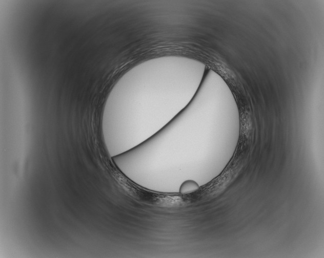 X0000116880374200912220949