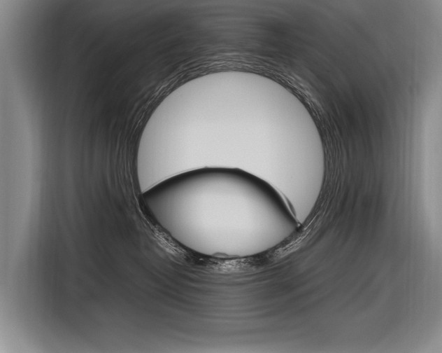 X0000116880382200912220949