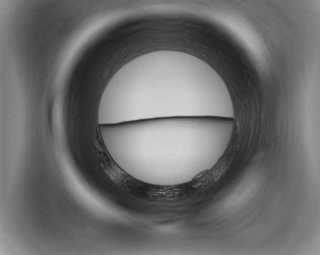 X0000116880383200912220949