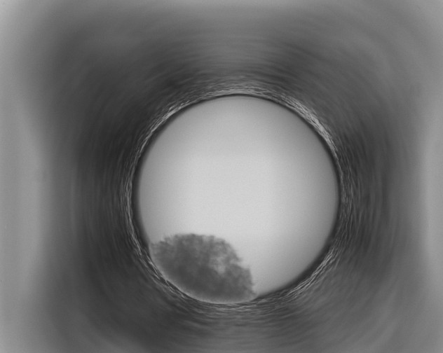 X0000116880386200912220949