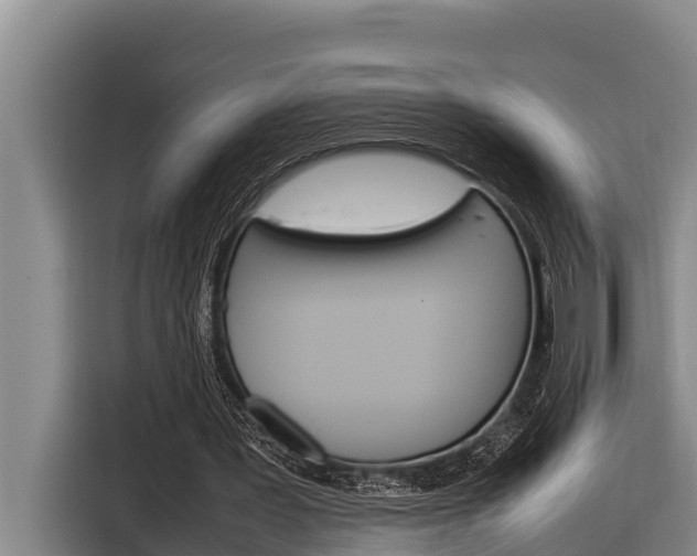X0000116880387200912220949