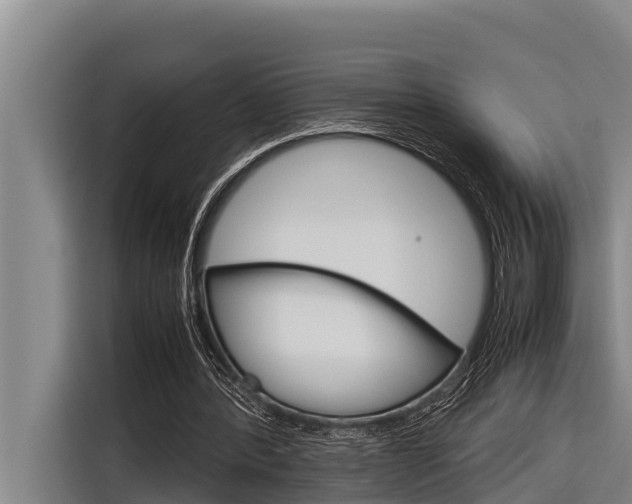X0000116880388200912220949
