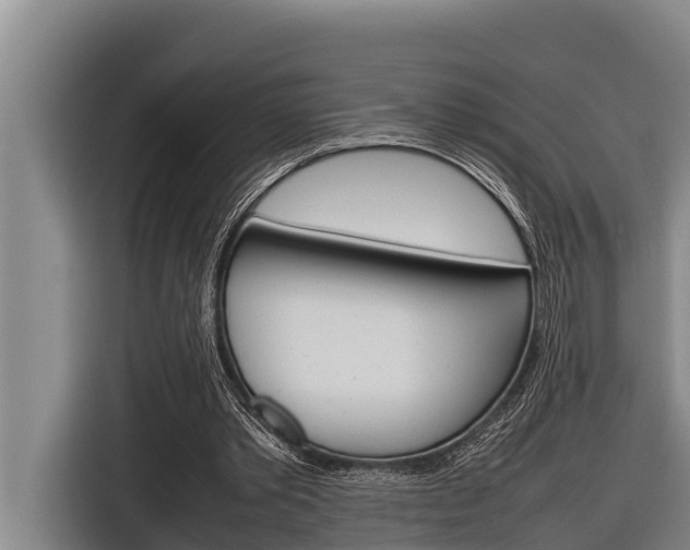X0000116880389200912220949