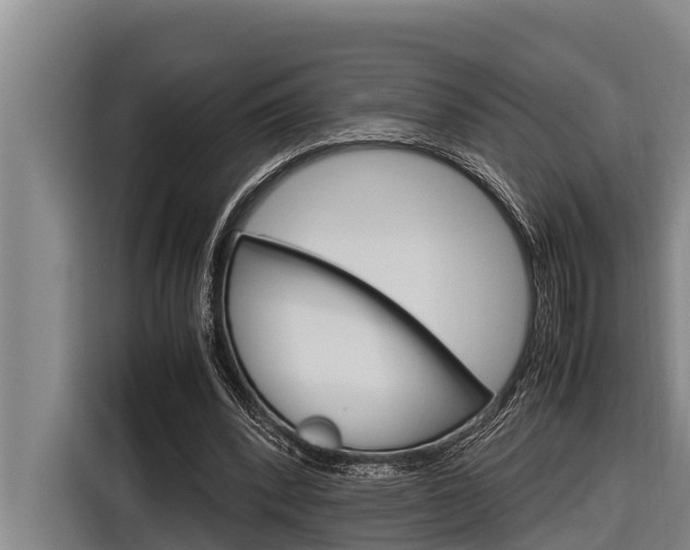 X0000116880392200912220948