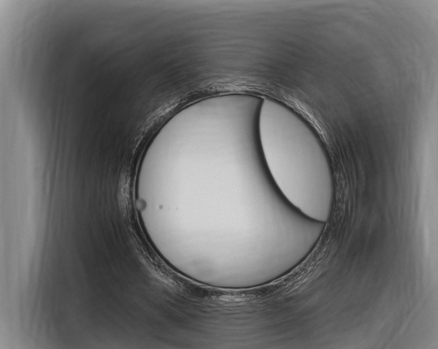 X0000116880394200912220948