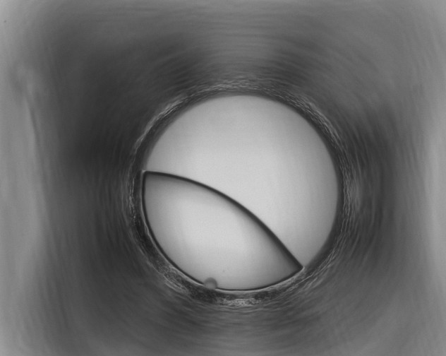 X0000116880396200912220948