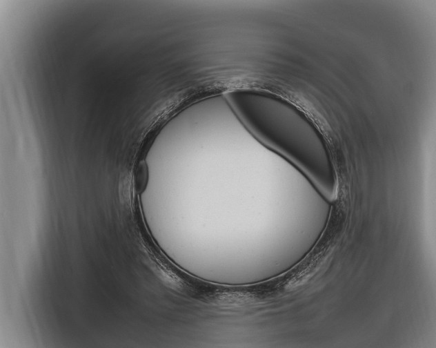X0000116880397200912220948