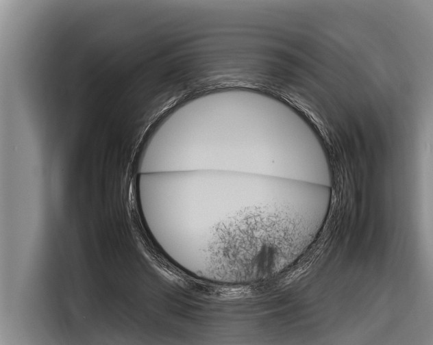 X0000116880398200912220948