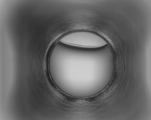 X0000116880399200912220948
