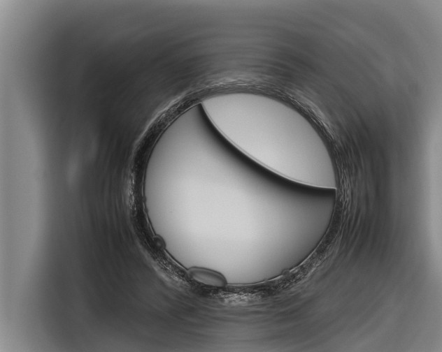 X0000116880400200912220948