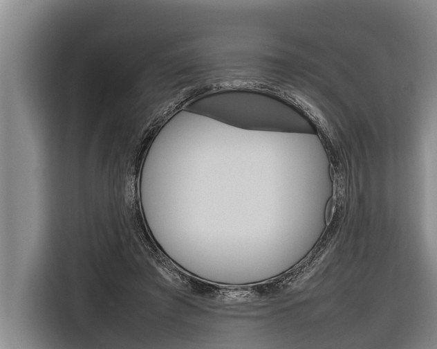 X0000116880401200912220948
