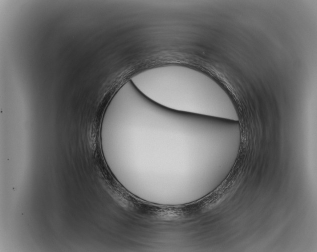 X0000116880402200912220948