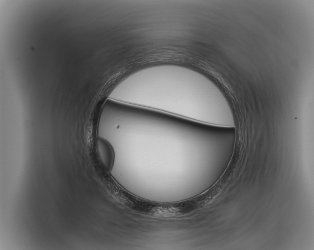 X0000116880403200912220948